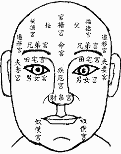 人相.面相.眼耳鼻相.富贵相.贫贱相.手相.手纹相.骨相.痣相.
